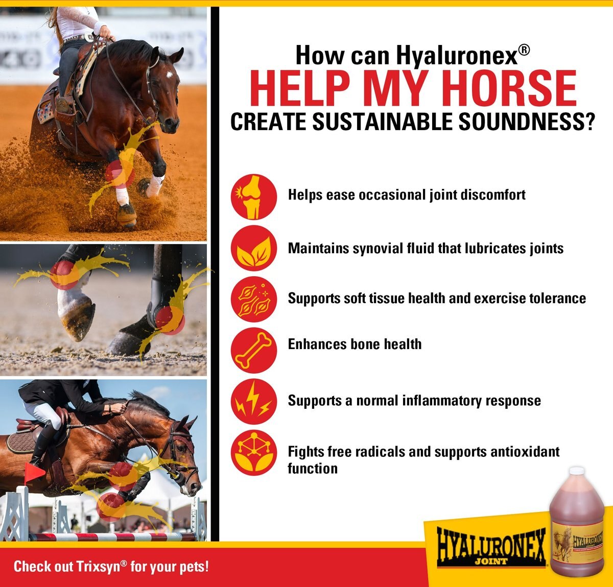 Hyaluronex Joint Support Liquid Horse Supplement