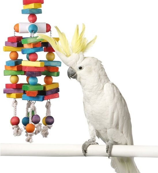 Super Bird Creations 4 Way Play Bird Toy， X-Large