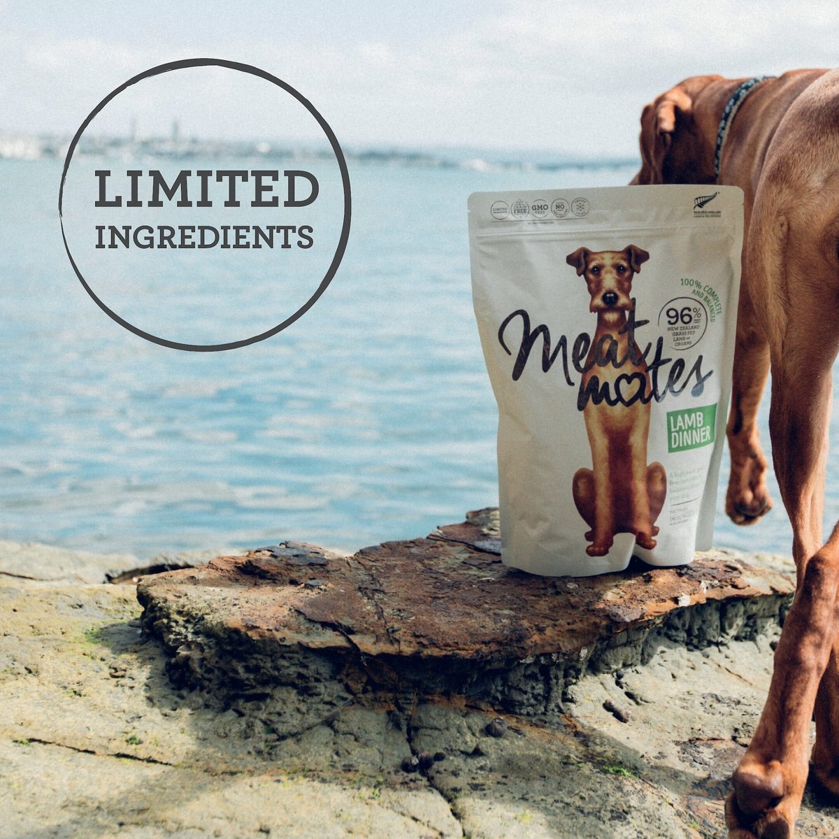 Meat Mates Chicken Dinner Grain-Free Freeze-Dried Dog Food