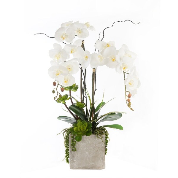 Real Touch White Orchids and Succulents in Square Cement Pot