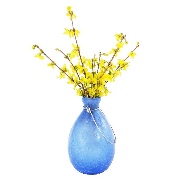 Hanging Glass Teardrop Rooting Vase Achla Designs