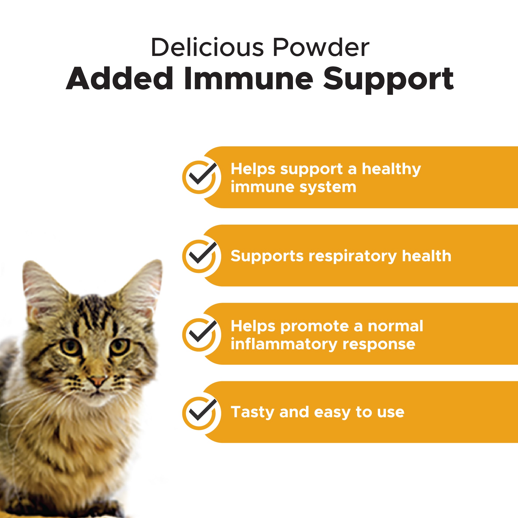 Pet Honesty Immune Health Lysine Powder Cat Supplement， 4.2 oz.