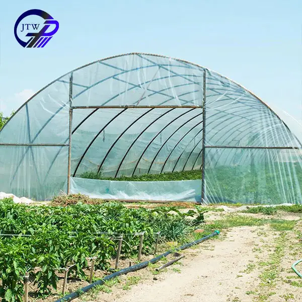 Winter Greenhouse System Supply Greenhouse Tunnel For Agriculture