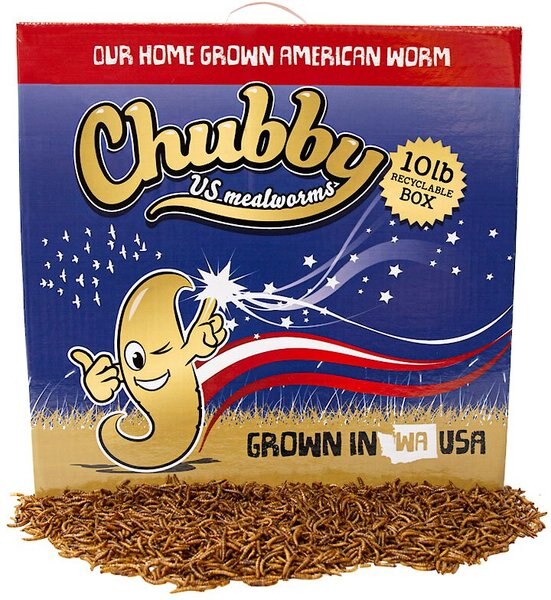 Chubby Mealworms Dried Mealworms Non-GMO Chicken Treats