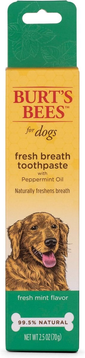 Burt's Bees Care Plus + Fresh Breath Toothpaste with Peppermint Oil， 2.5-oz tube