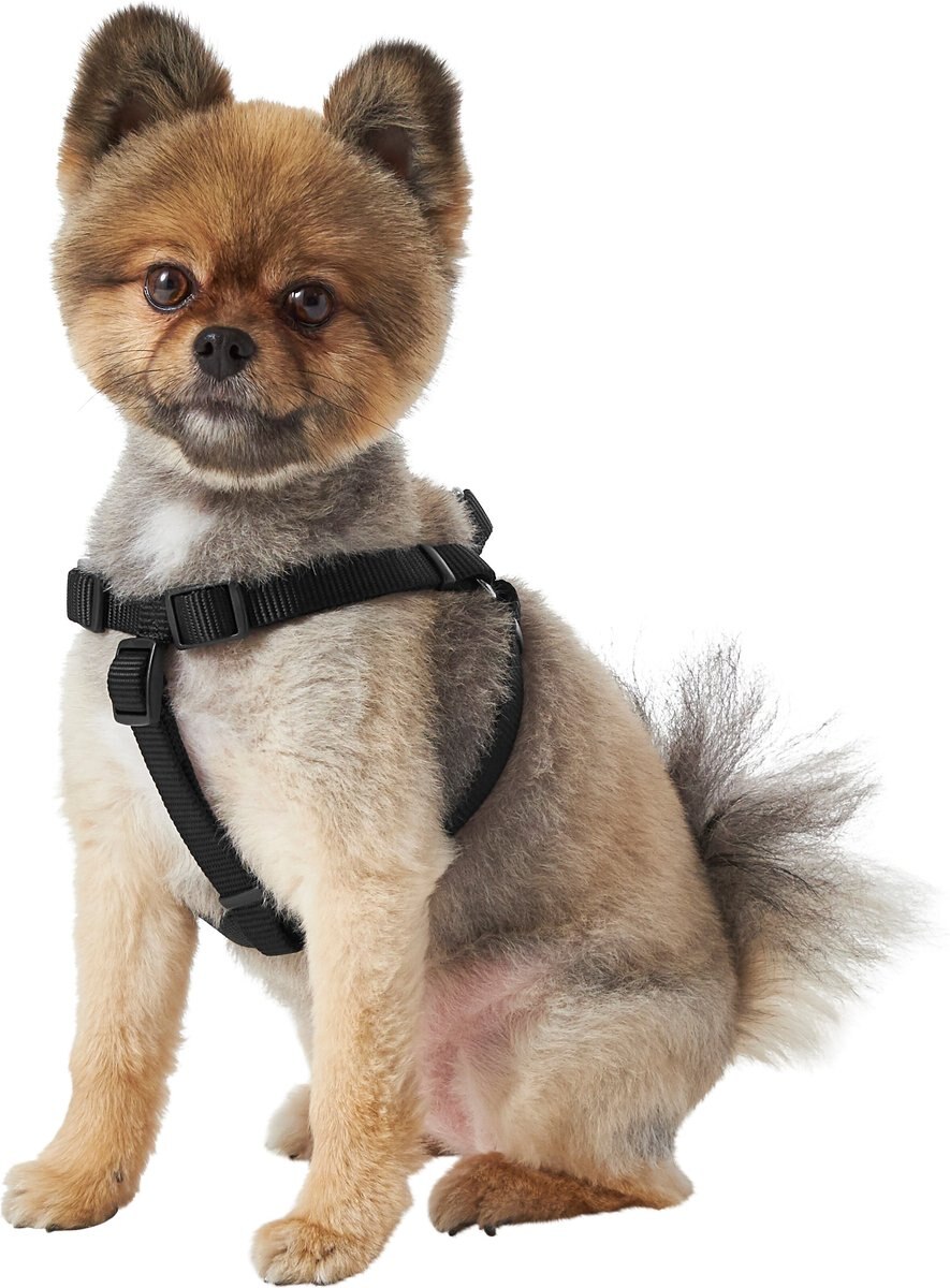 Frisco Nylon Step In Back Clip Dog Harness