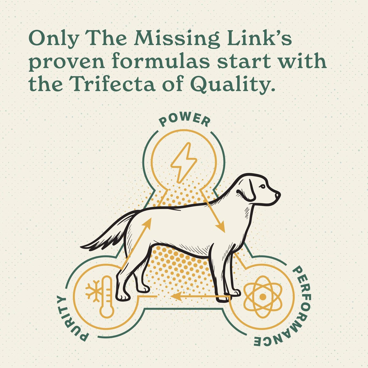 The Missing Link Hip and Joint Powder Supplement