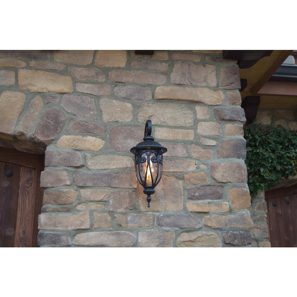 Hailee 1-Light Matte Black Outdoor Wall Lantern Sconce EL591SBL