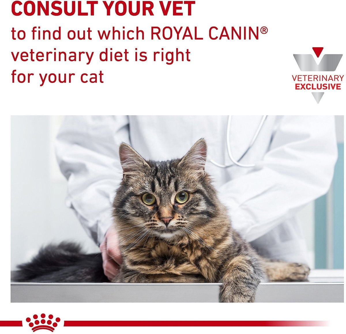 Royal Canin Veterinary Diet Kitten Gastrointestinal Ultra Soft Mousse in Sauce Canned Cat Food