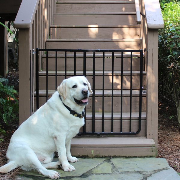 Cardinal Gates Outdoor Dog Gate