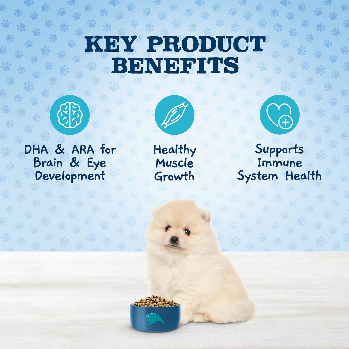 Blue Buffalo Baby Blue Small Breed Healthy Growth Formula Natural Chicken and Oatmeal Rice Recipe Puppy Dry Food， 4-lb bag