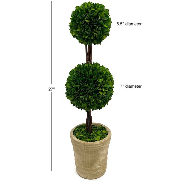 Modern Home Real Preserved Boxwood Double Ball Topiary