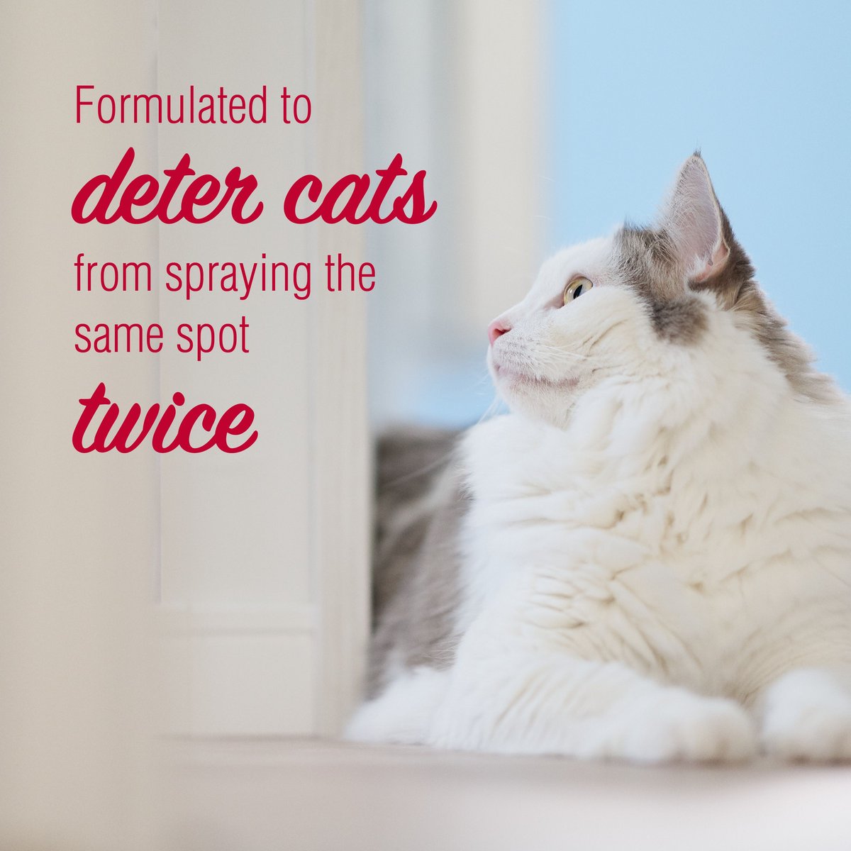 Nature's Miracle Cats No More Spraying Repellent Stain Remover and Odor Eliminator Spray