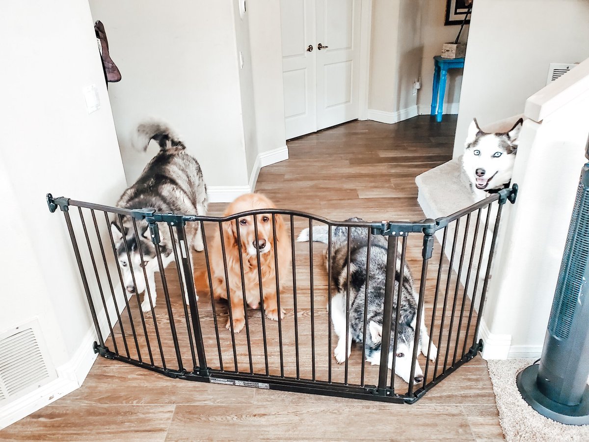 MyPet Windsor Extra Wide Arch Pet Gate for Dogs and Cats