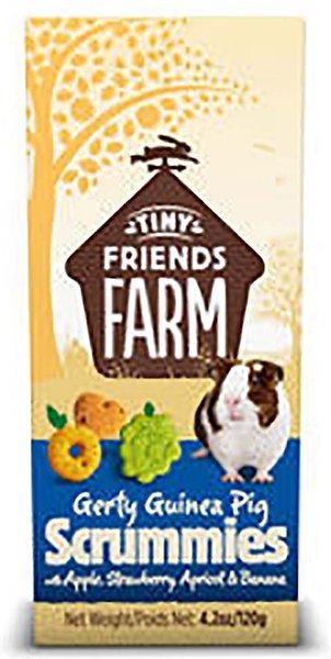 Tiny Friends Farm Gerty Scrummies Guinea Pig Treats， 4.2-oz bag