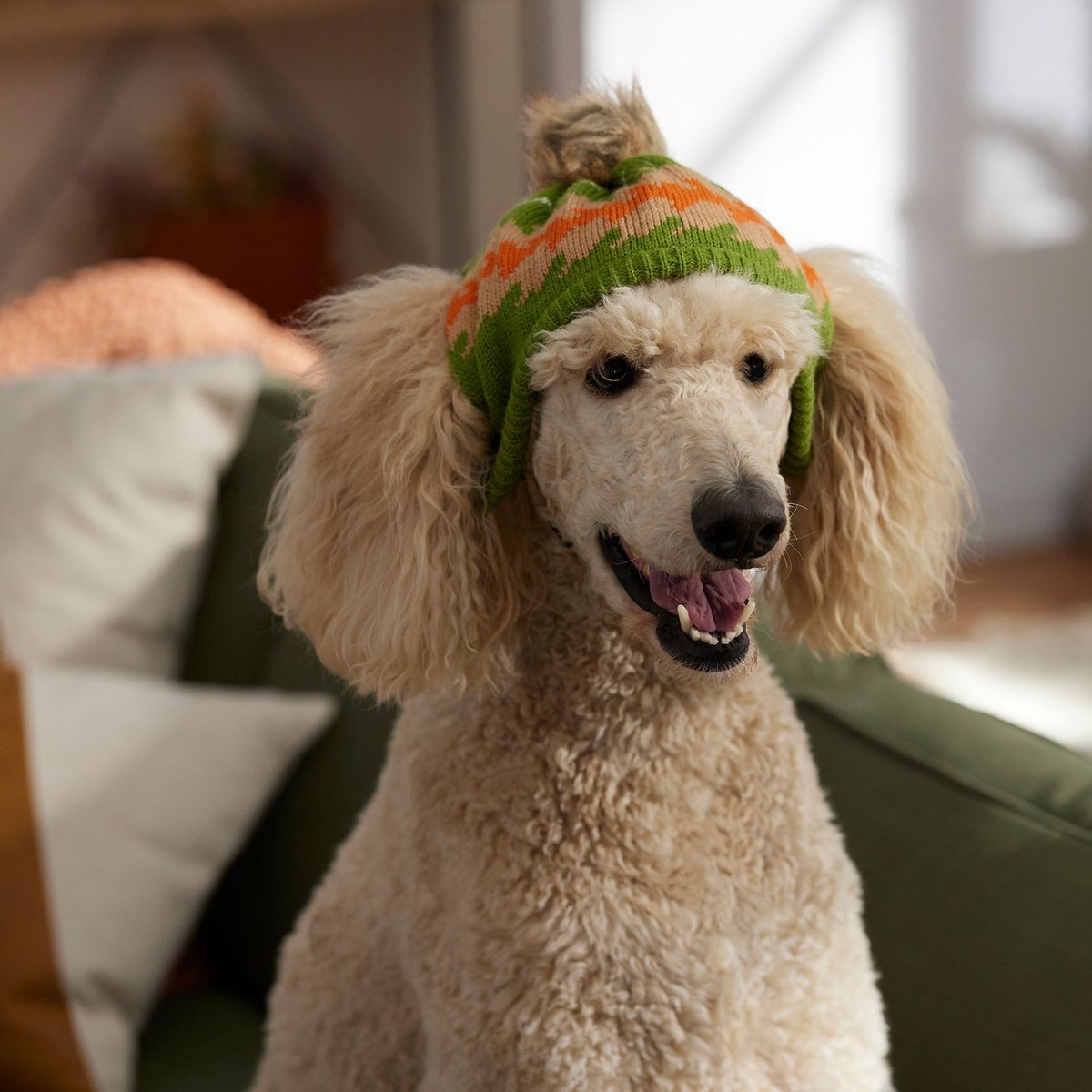 Frisco Striped Poof Dog and Cat Knitted Hat