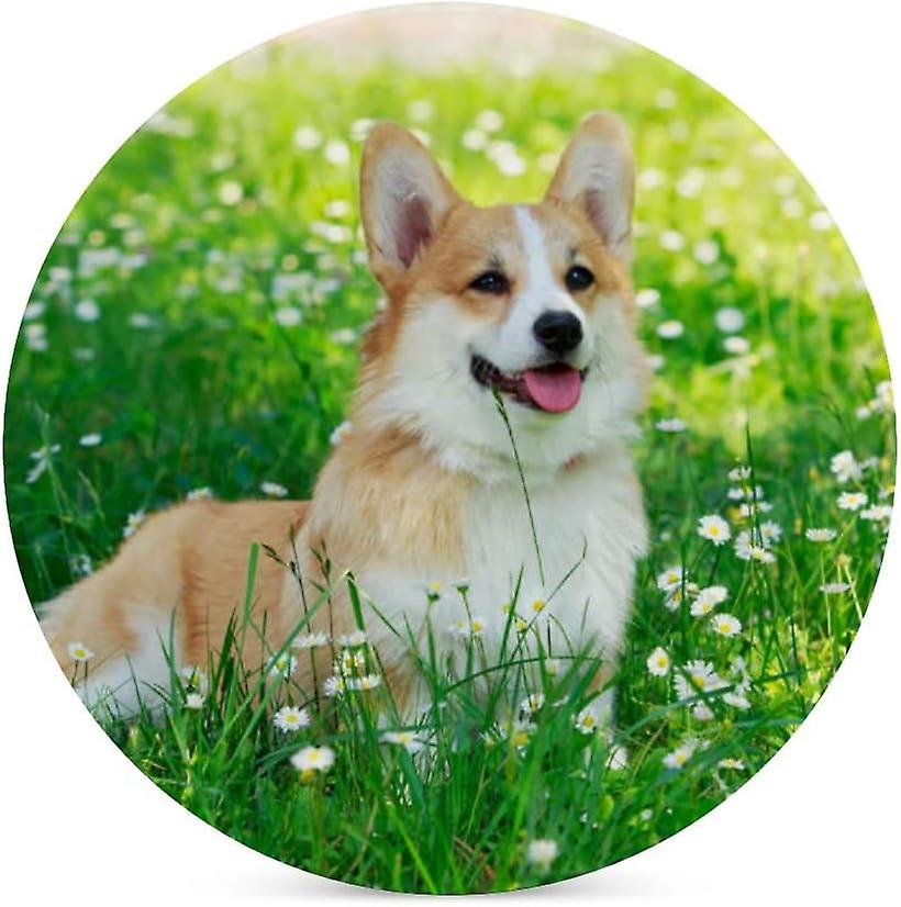 2pcs Round Pembroke Welsh Corgi On Green Grass Ceramic Coasters With Cork-backed For Coffee Drink Cup Mat Absorbent Stone Coasters