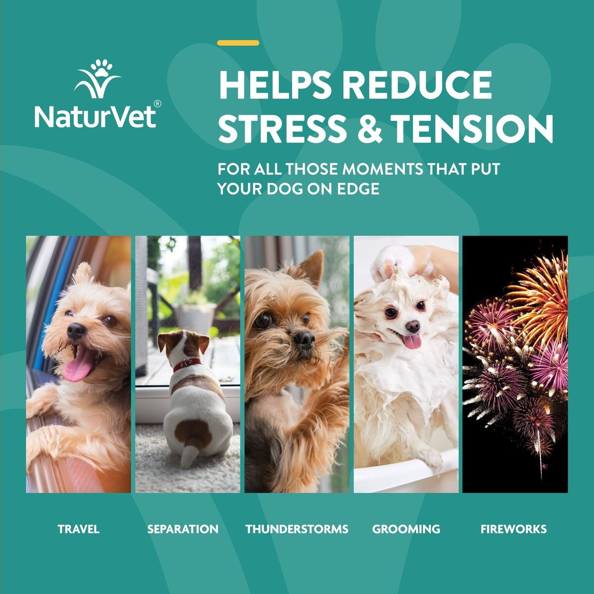 NaturVet Hemp Quiet Moments Liquid Calming Supplement for Cats and Dogs