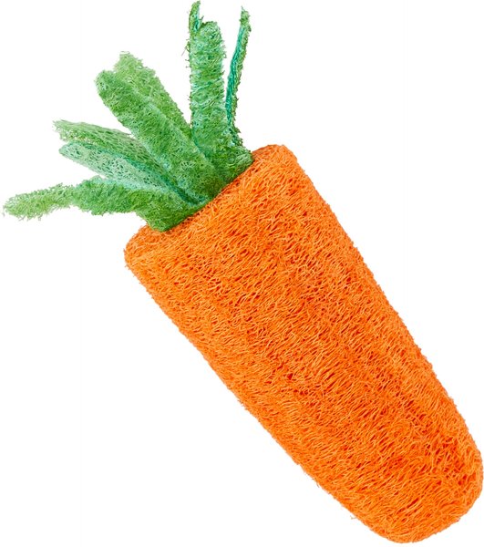 Frisco Carrot Loofah Small Pet Chew Toy