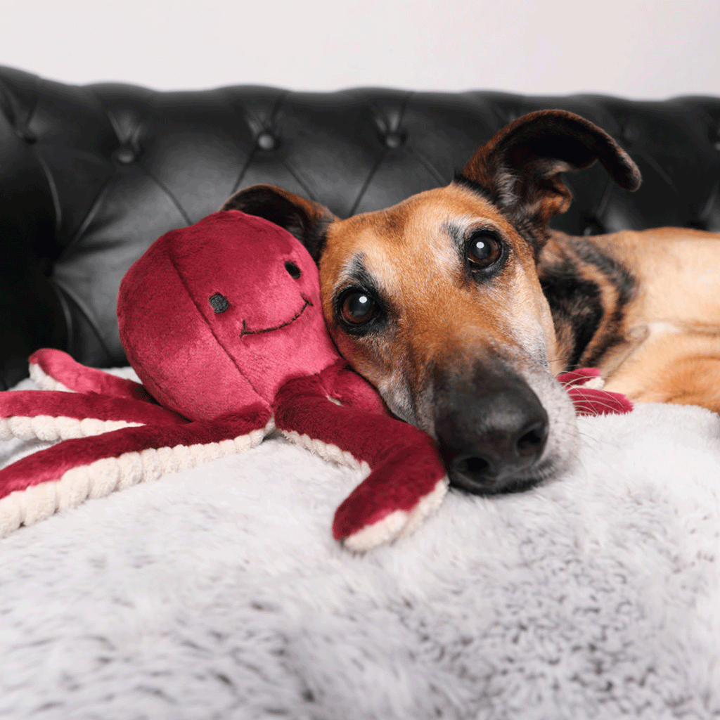 Fluff and Tuff Olympia Octopus Dog Toy