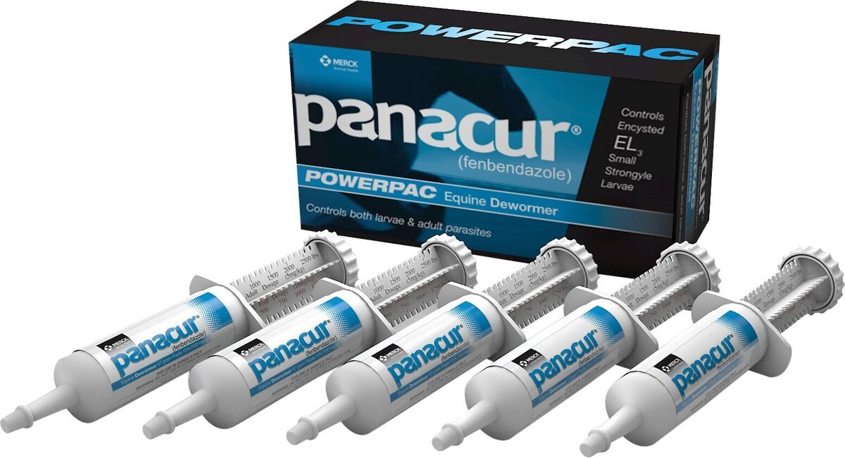 Panacur Powerpac Equine Paste 10% Horse Dewormer