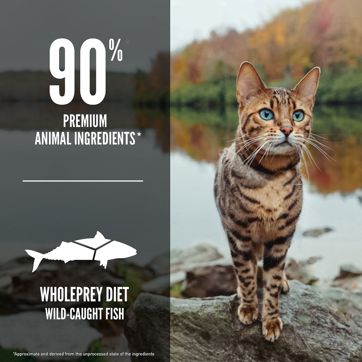 ORIJEN Six Fish Grain-Free Dry Cat Food