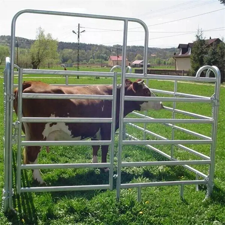 Galvanized heavy duty horse cattle steel panels