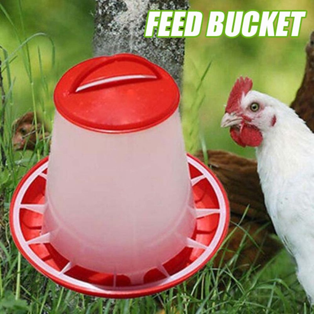 1.5Kg Plastic Chicken Poultry Handle Quail Farm Supplies Feeders Poultry Tool Feed Bucket RED