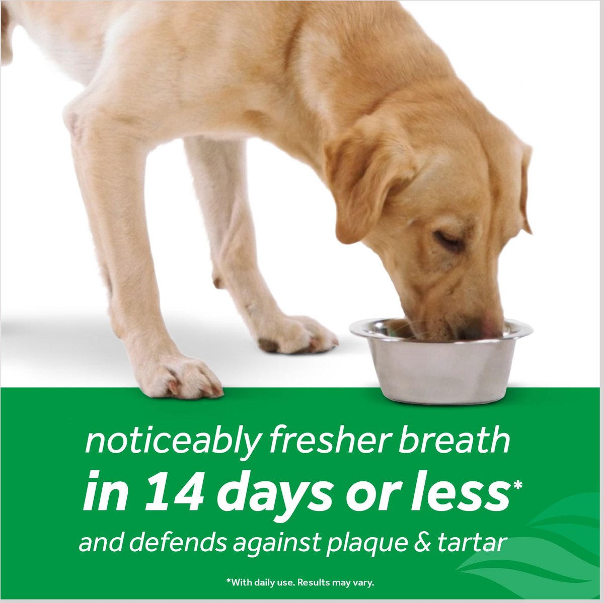 TropiClean Fresh Breath Dental Health Solution + Skin Health Support Dog Dental Water Additive