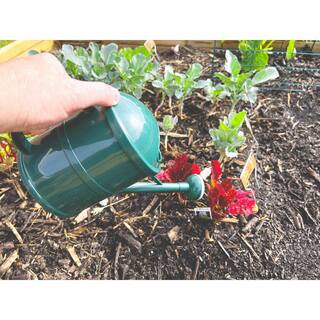 Bosmere English Garden 1.5 l (0.40 Gal.) Plastic Green Watering Can V556G