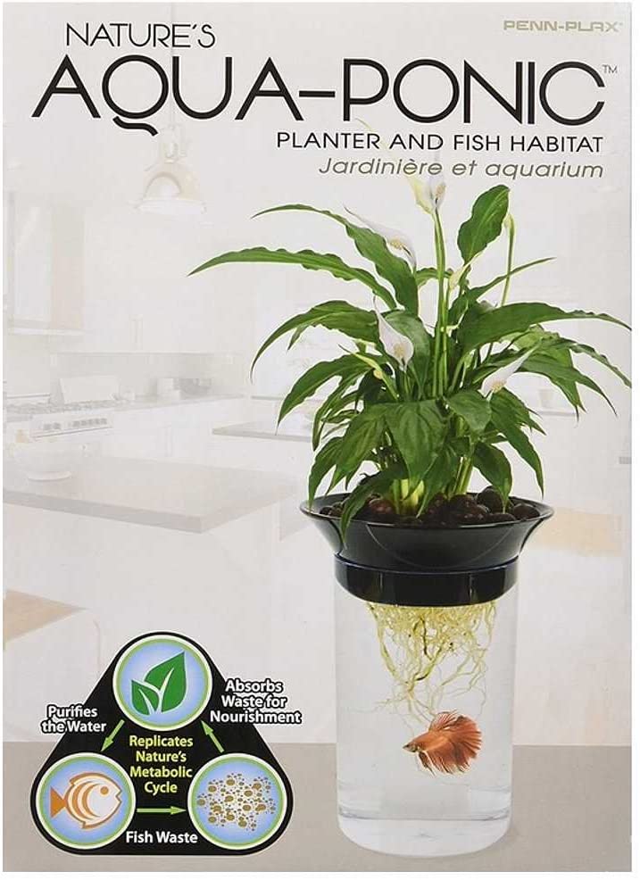 Penn-Plax Aquaponic Betta Fish Tank Healthy Environment  .5 Gallon Capacity