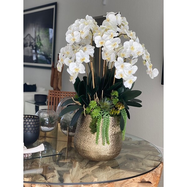 Delany Gold Pot With Multiple Stems Of Phalaenopsis Orchids And Succulents