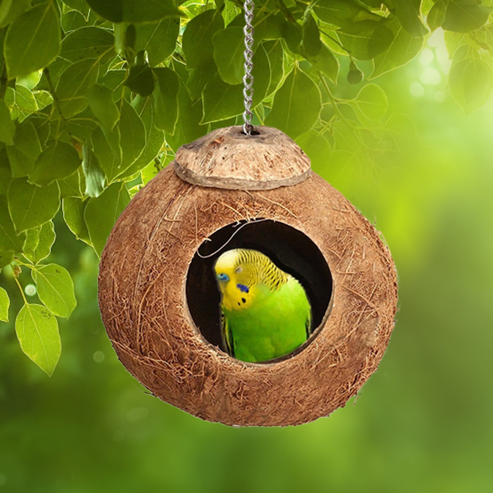 Coconut Birds Nest， Bird Cage with Climbing Ladder， Coconut Hide Bird Shell Breeding Nest for Parrot Parakeet Lovebird Finch Canary