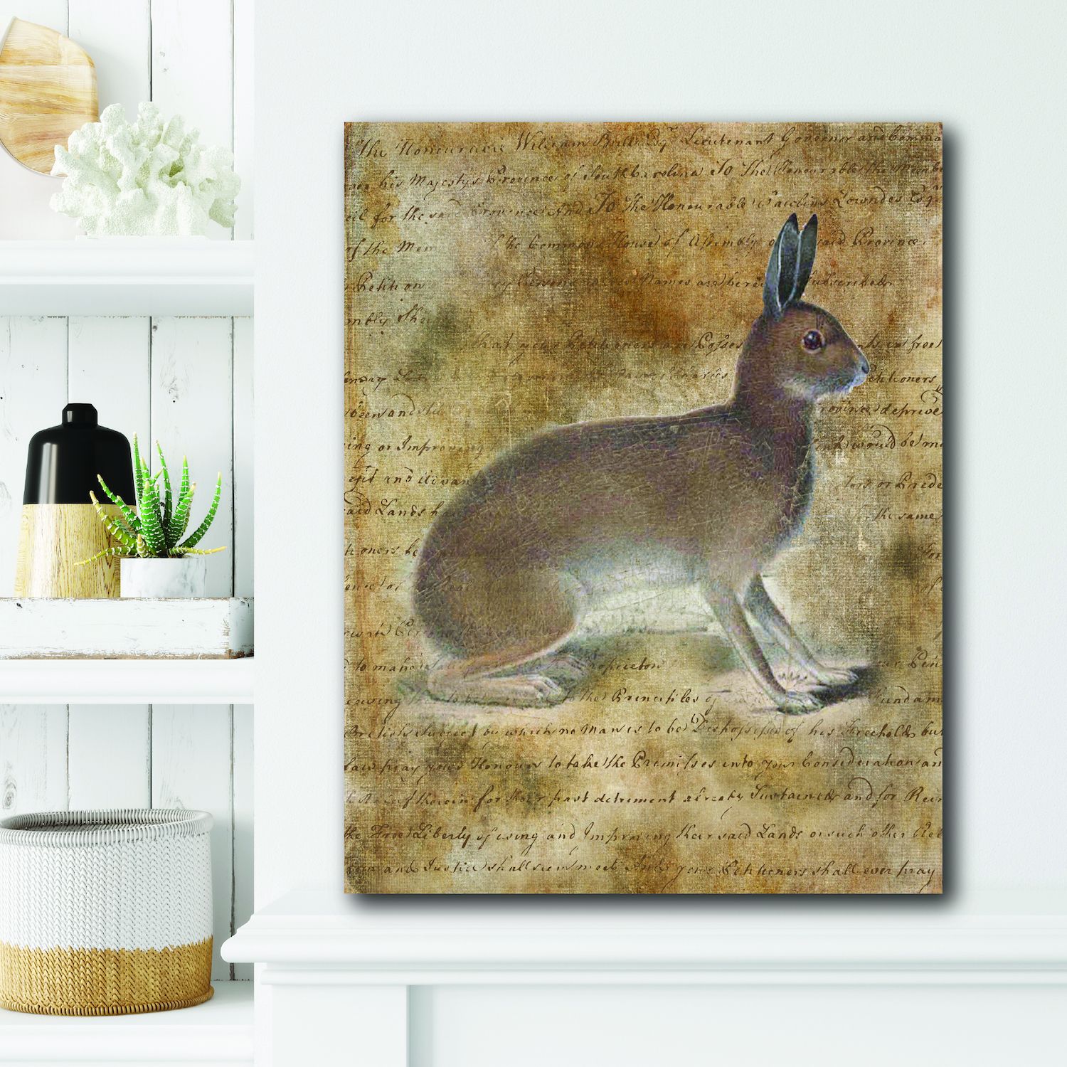 COURTSIDE MARKET Vintage Rabbit VI Canvas Wall Art