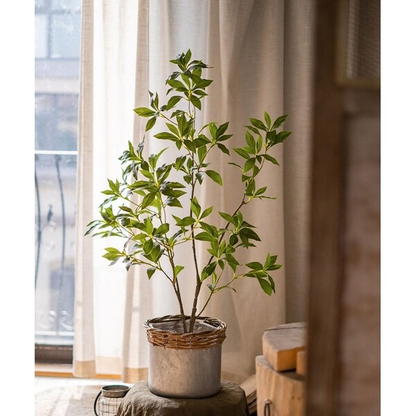 RusticReach Artificial Japanese Enkianthus Tree