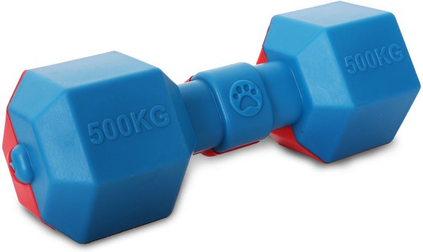 Pet Life Dumbbell Durable Water Floating Chew and Fetch Dog Toy