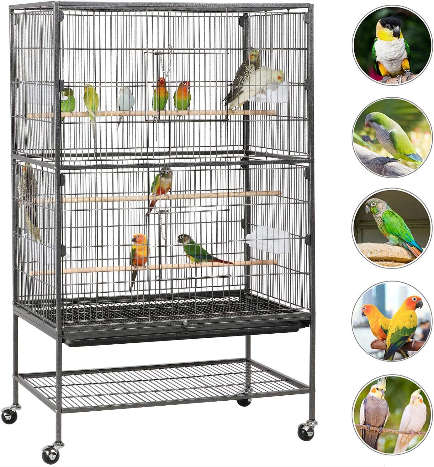 52-inch Wrought Iron Standing Large Flight King Bird Cage for Cockatiels African Grey Quaker Sun Parakeets Green Cheek Conures Pigeons Parrot irdcage with Stand