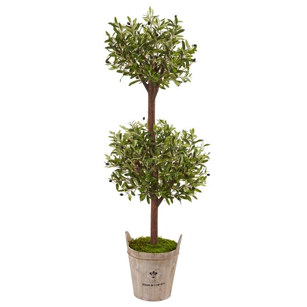 5' Olive Tree in Farmhouse Planter