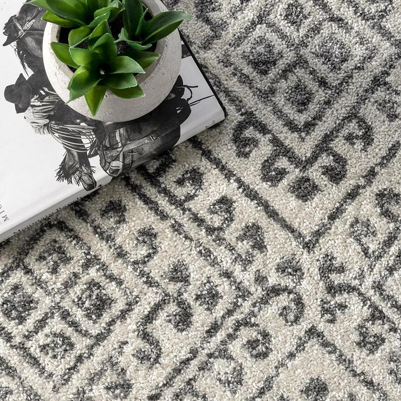 nuLOOM Camila Diamond Trellis Area Rug