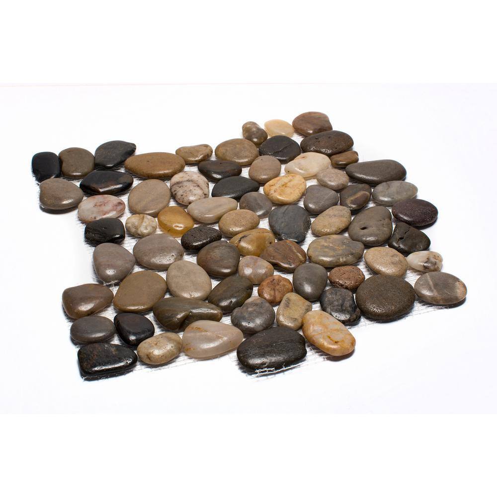 Rain Forest 12 in. x 12 in. Mixed Mid-Polish Pebble Stone Floor and Wall Tile (5.0 sq. ft.  case) PT-MPMIX