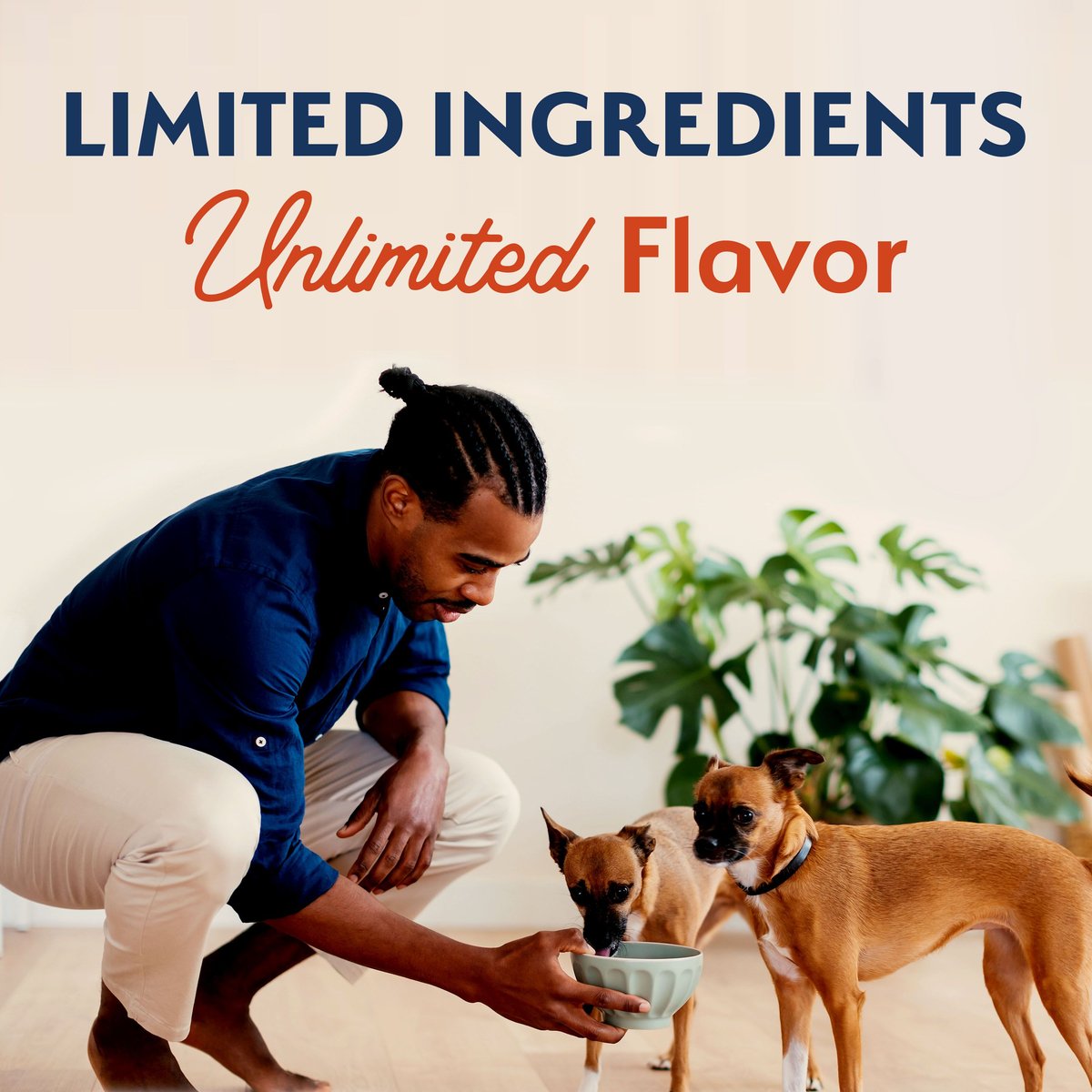 Natural Balance Limited Ingredient Grain-Free Salmon and Sweet Potato Small Breed Bites Recipe Dry Dog Food