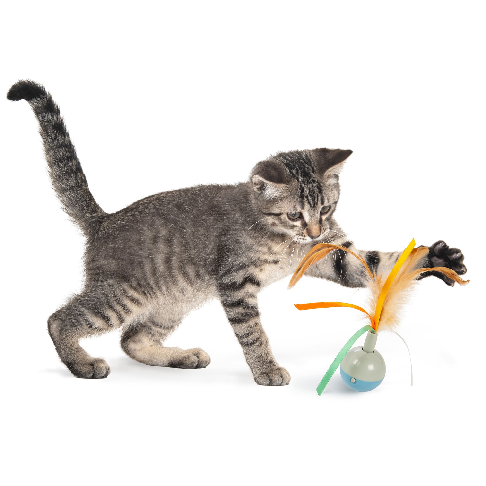 Petlinks Instincts Rowdy Ribbons Cat Toy， Small