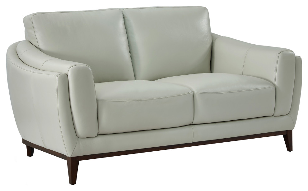 Rio Top Grain Leather Loveseat   Transitional   Loveseats   by Hello Sofa Home  Houzz