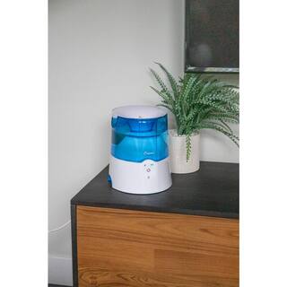 Crane 0.5 Gal. Warm Mist Humidifier with 2 Speed Settings for Small to Medium Rooms up to 250 sq. ft. EE-5202H