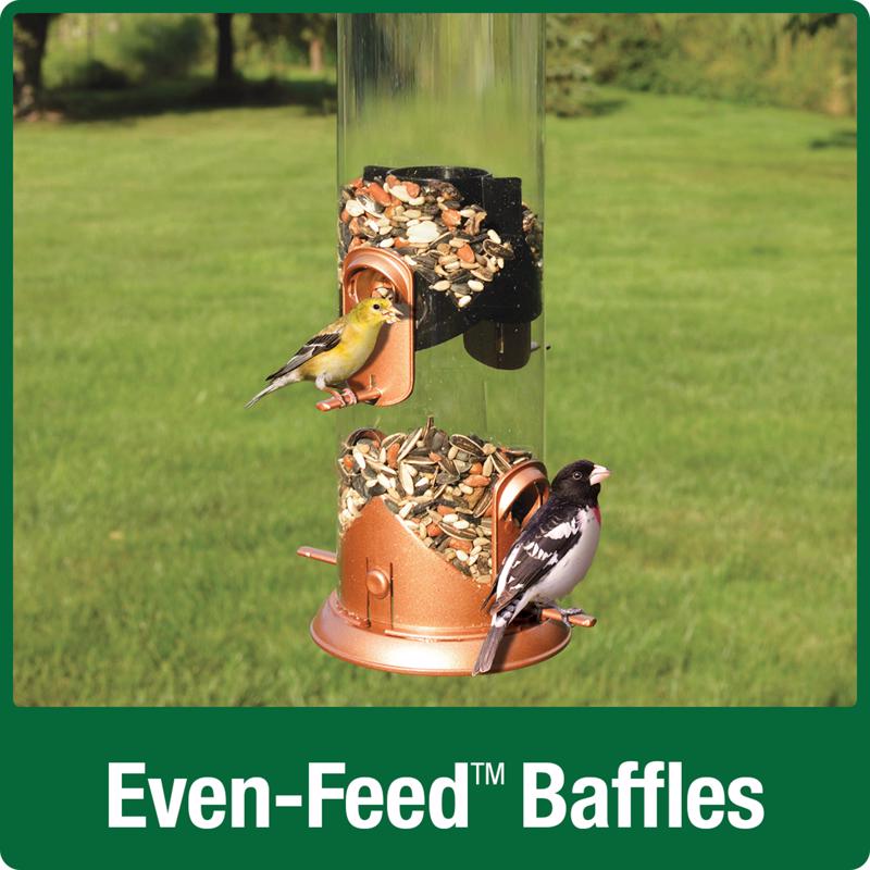 BIRD FEEDER TUBE 3QT