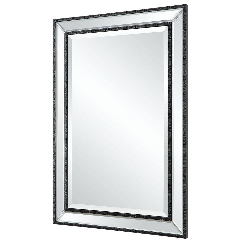 Home Decorators Collection HDC 22 in. W x 32 in. H Black Organic Mirror HDE00973