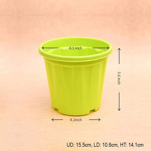 6 inch (15 cm) Grower Round Plastic Pot (Lime Yellow) (set of 6)