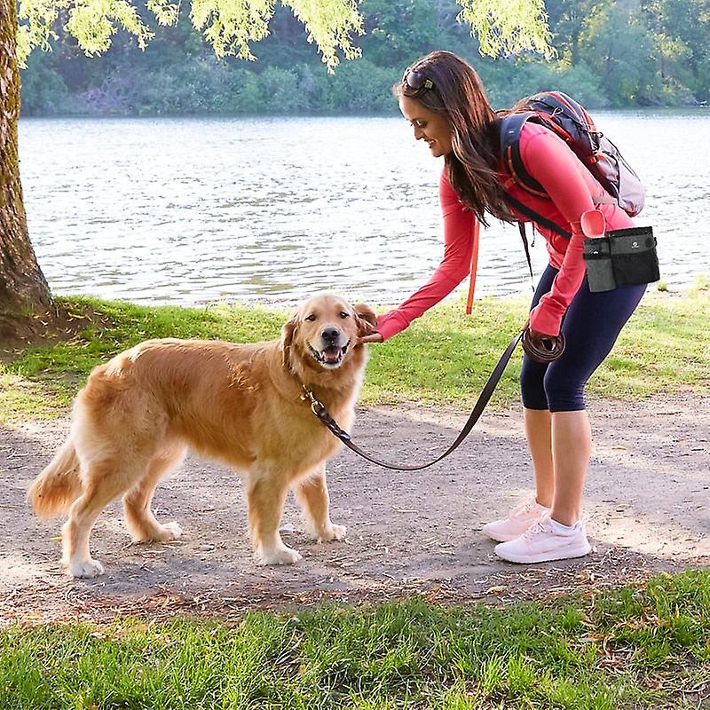 Multifunctional portable dog treat pouch