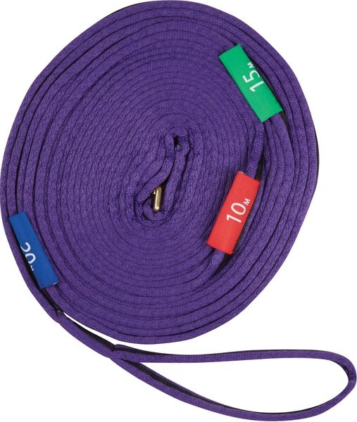 Kincade Two Tone Horse Lunge Line and Circle Marker， 36-ft