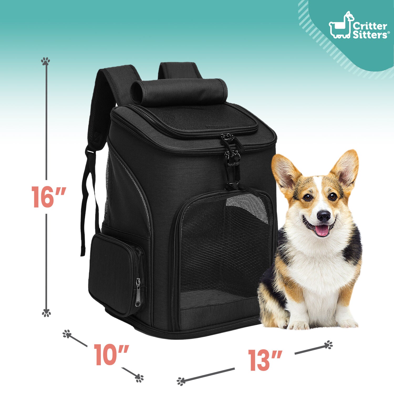 Critter Sitters Black Pet Backpack for Small Dogs， Cats with Scratch Resistant Breathable Mesh Windows | Airline Carry-On Approved | Safety Leash | Storage Pockets | Durable Transporation for Animals